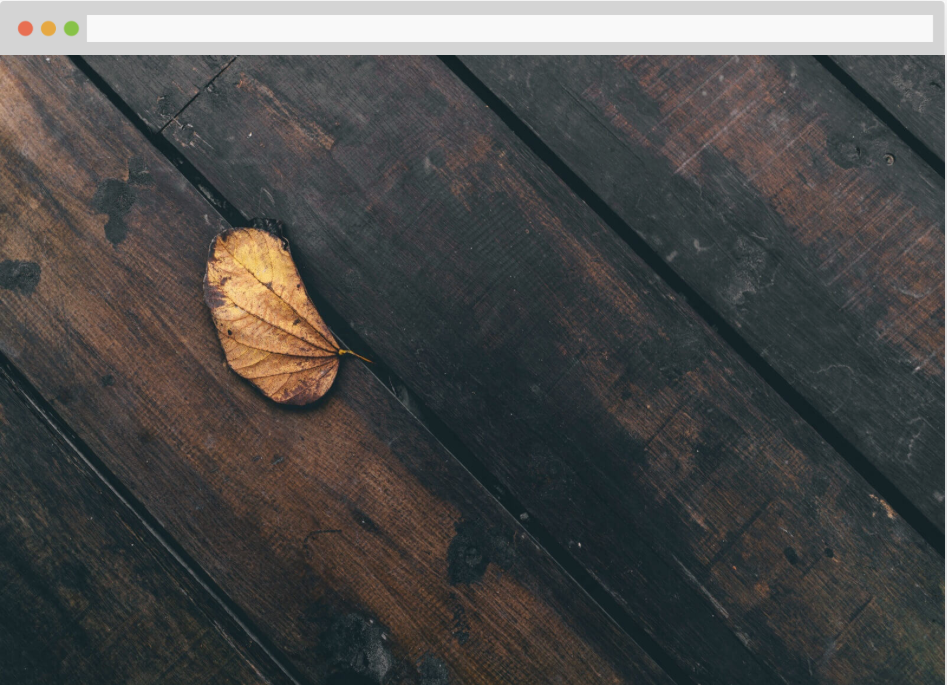 browser